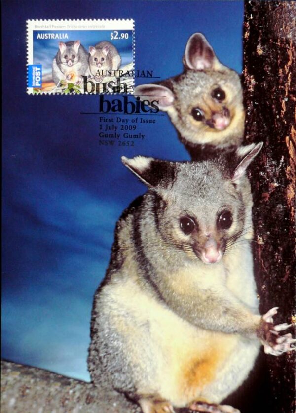 2009 Australia Post Maximum Card - Possum Bush Babies